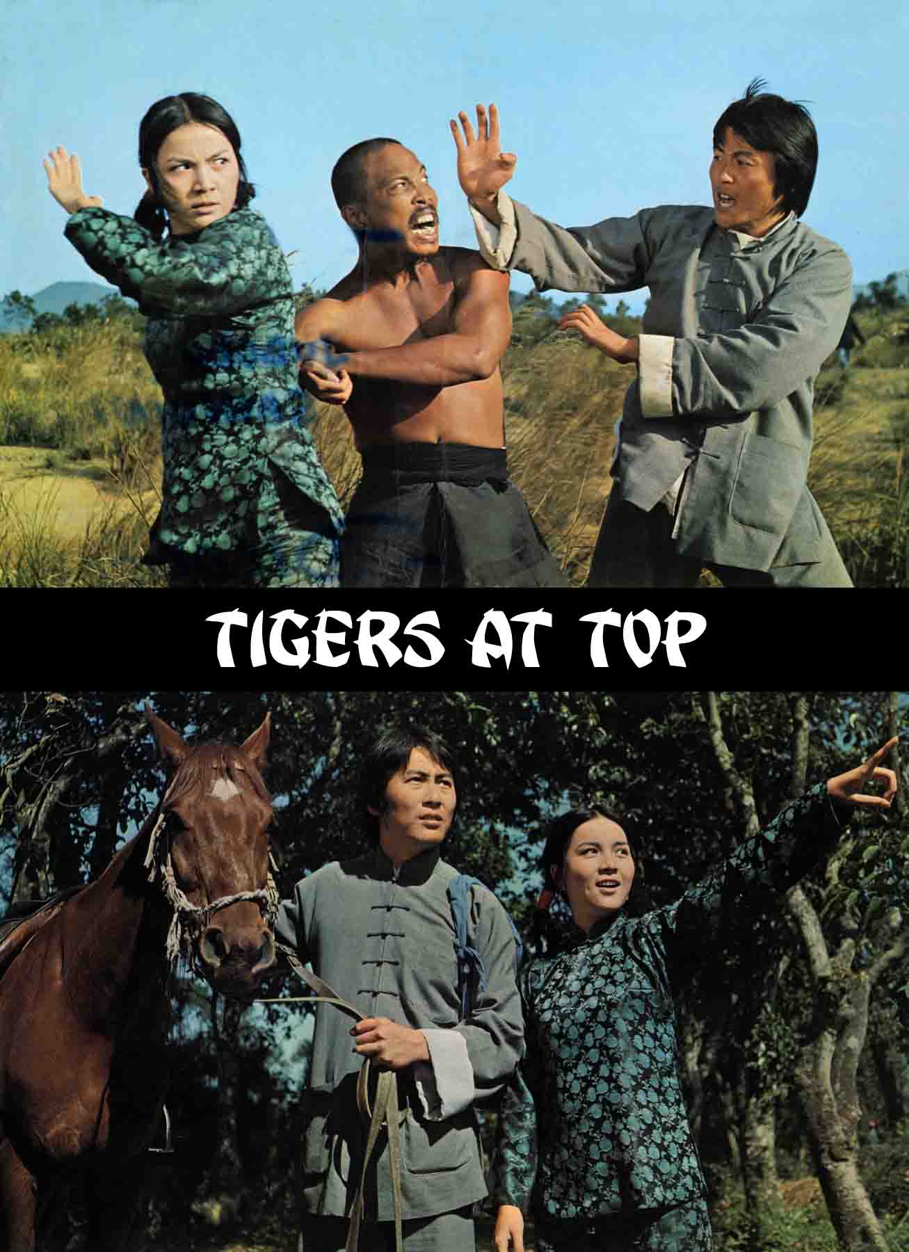 Tiger At The Top POSTER
